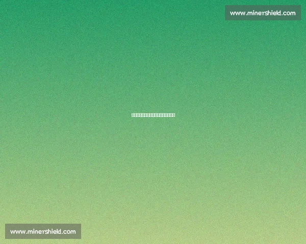 苏超隐形守护者：背对绿茵的平安防线